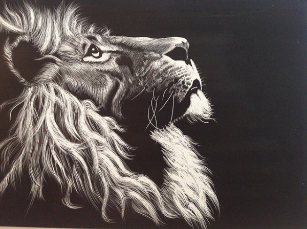 lion-g73aba086b_640