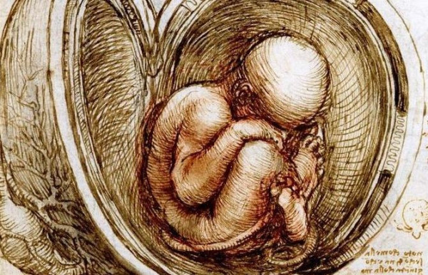 The_babe_in_the_womb-_Leonardo_da_Vinci_-1511-SEGMENTJNWbrAweeh0d5